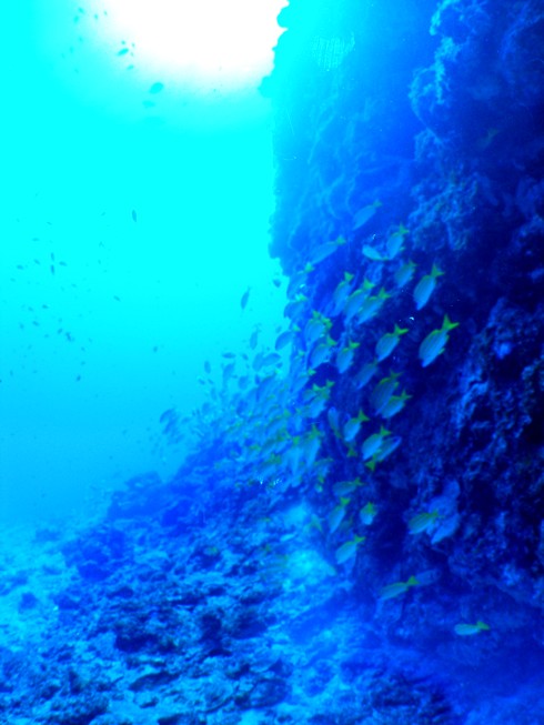 a0082706_031144.jpg