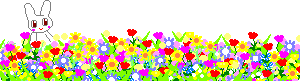 c0080913_135043.gif
