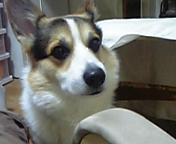 e0007313_19164826.jpg