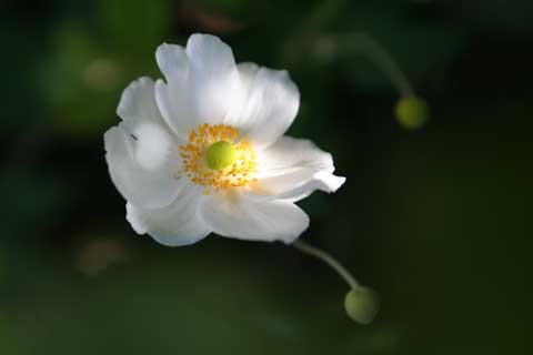 e0001123_16303328.jpg