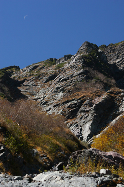f0081726_753452.jpg