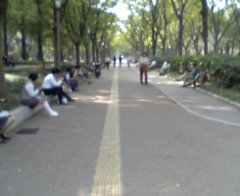 f0035127_16355392.jpg