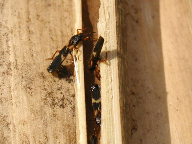 b0099538_23475073.jpg