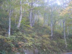 b0024439_924330.jpg