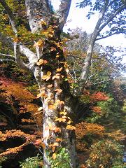 b0024439_9453954.jpg