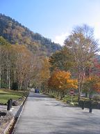 b0024439_953199.jpg