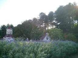 b0060042_0571150.jpg