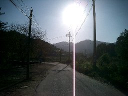 b0060042_18264.jpg