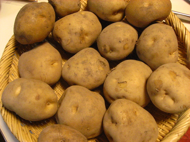 b0097747_9375889.jpg