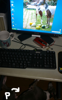 c0087047_20594196.jpg