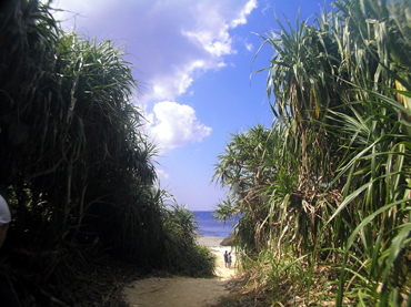 d0065247_2235756.jpg