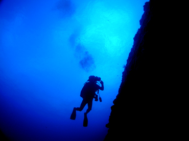 d0065247_2248681.jpg