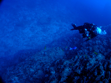 d0065247_22504868.jpg