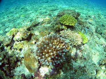 d0065247_225227.jpg
