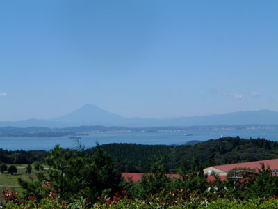 b0045357_3355570.jpg