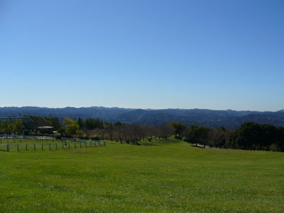 b0045357_3405355.jpg