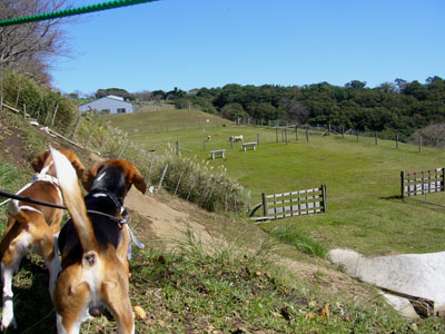 b0045357_3463033.jpg