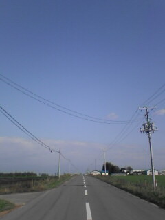 a0004359_2323496.jpg