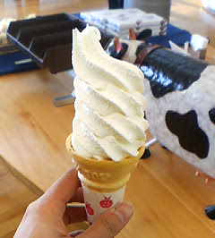 c0001060_0134982.jpg