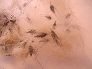 b0015963_13291120.jpg