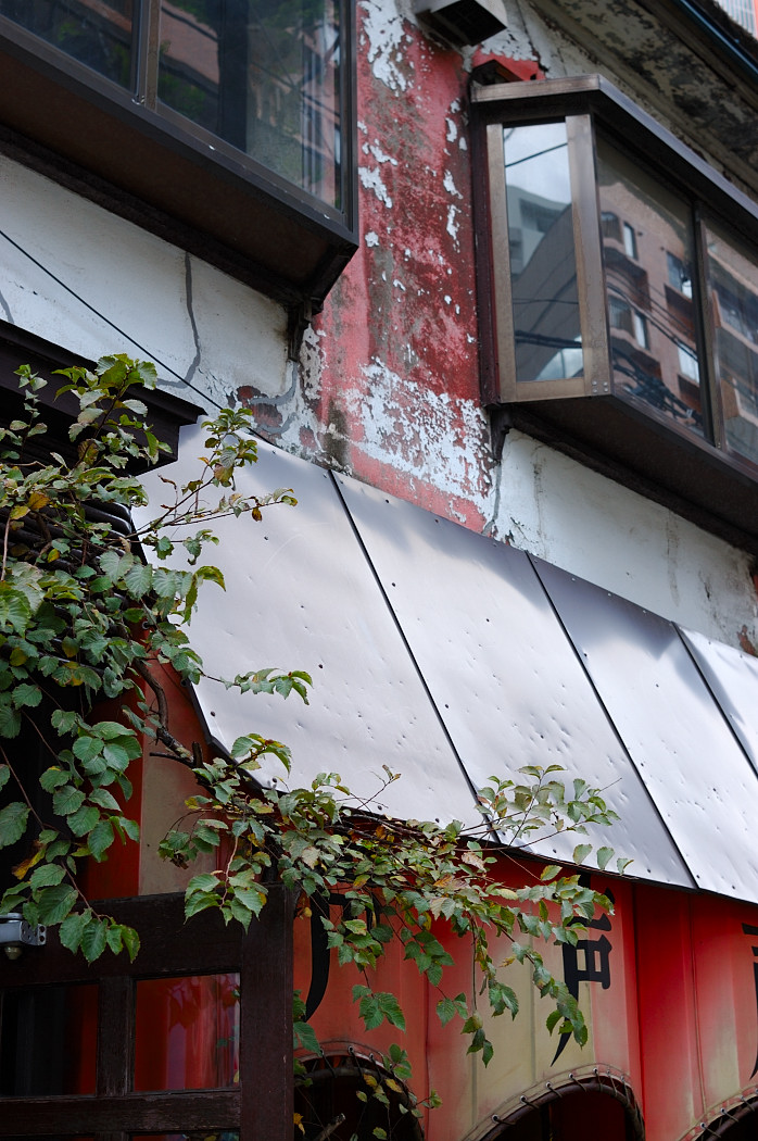c0084666_1785635.jpg