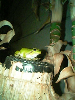 f0077270_128411.jpg