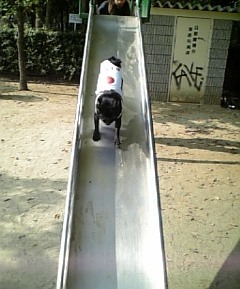 f0014371_16251253.jpg