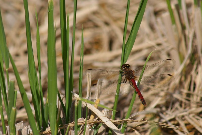 b0088772_20481586.jpg