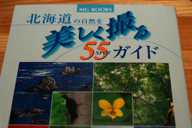 a0016775_2151519.jpg