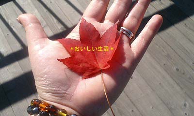e0097776_2384229.jpg