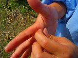 c0033992_1220424.jpg