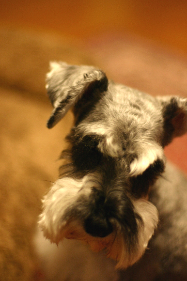 f0001895_16302917.jpg