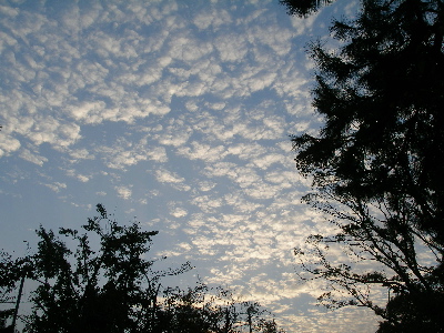 c0036203_19282268.jpg