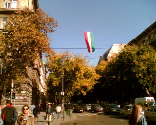 f0021504_3351891.jpg