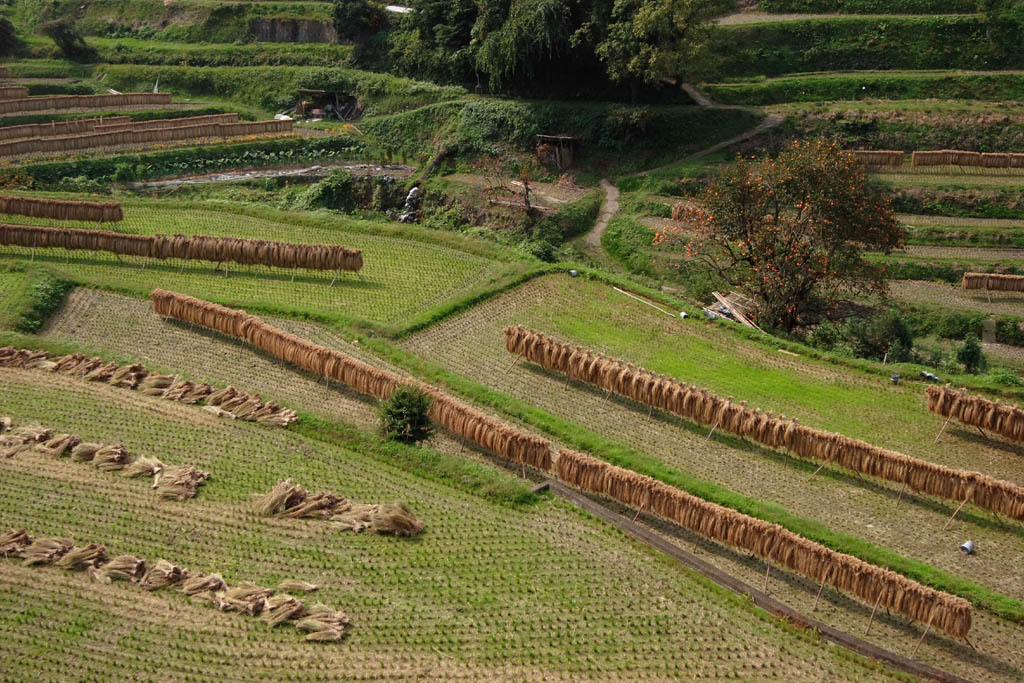 d0085715_2359168.jpg