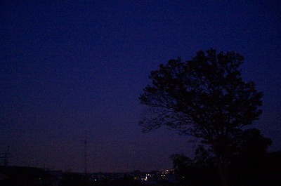 d0094416_237830.jpg