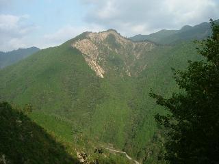 e0101917_1863122.jpg