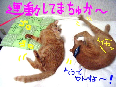 d0081025_18351924.jpg