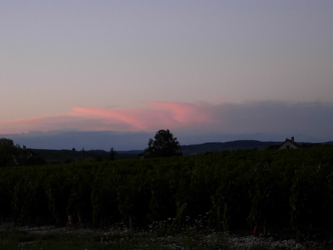 f0095128_1823554.jpg
