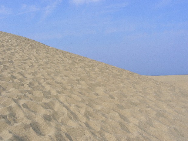 e0083238_2342324.jpg