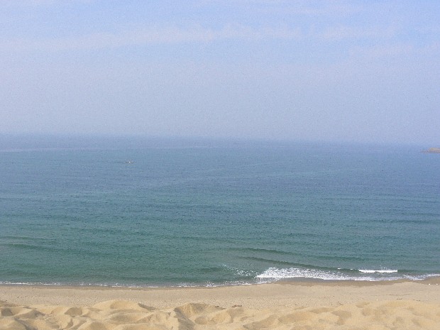 e0083238_235881.jpg