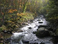 b0024439_7422347.jpg