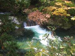 b0024439_8132597.jpg