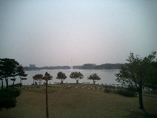 b0060042_0442182.jpg