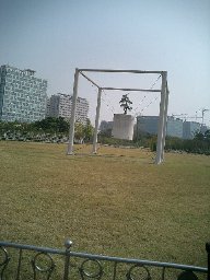 b0060042_0504892.jpg