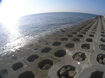 d0065247_23582748.jpg