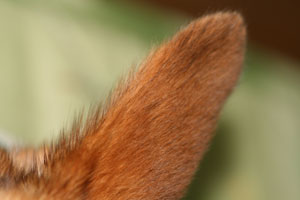 a0054948_12515918.jpg