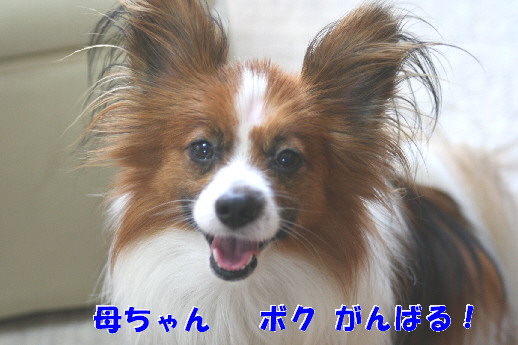 d0013149_23281137.jpg