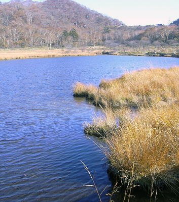 a0001354_2125929.jpg