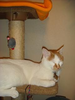 f0046854_20113080.jpg